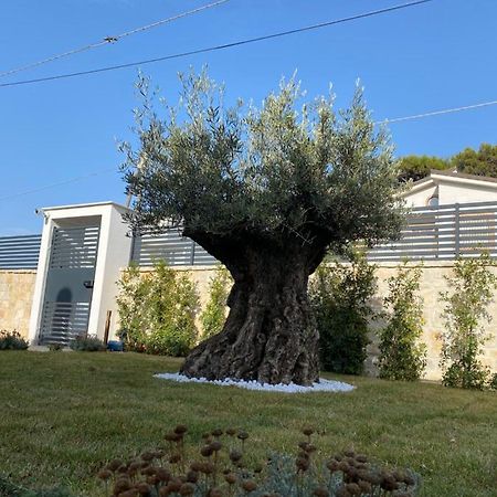 Villa Palladino Rooms Giovinazzo Exterior foto