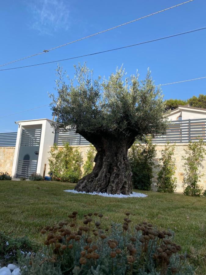 Villa Palladino Rooms Giovinazzo Exterior foto